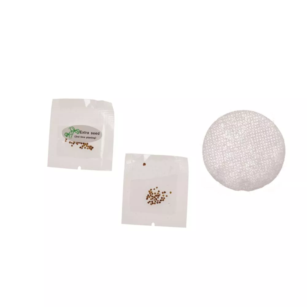 Trifoi cu 4 foi Noroc la ghiveci [10]