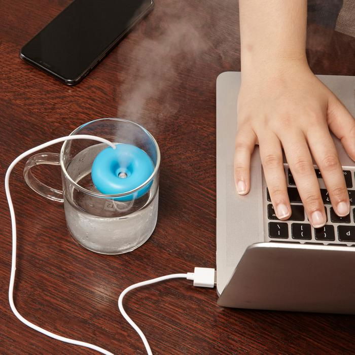 Umidificator portabil Gogoasa [1]