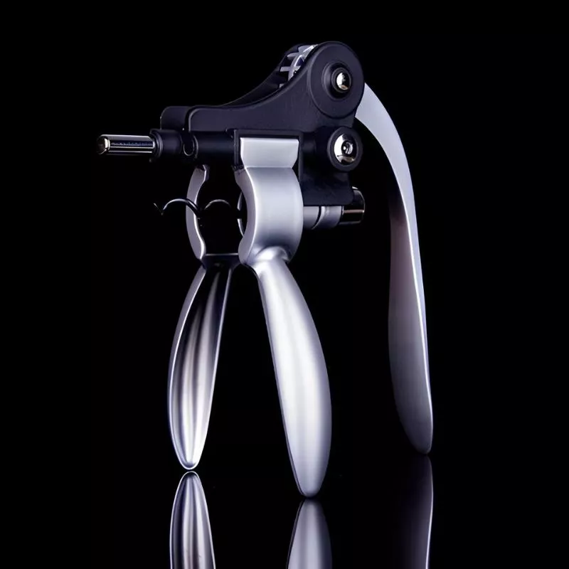 Valiza Deluxe cu accesorii de vin Premium set 9 piese [13]