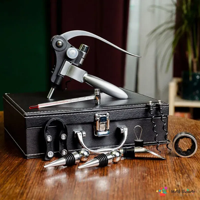 Valiza Deluxe cu accesorii de vin Premium set 9 piese [16]