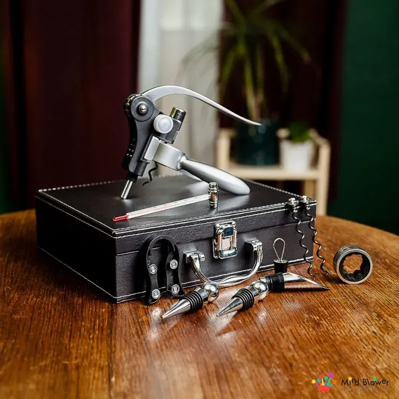 Valiza Deluxe cu accesorii de vin Premium set 9 piese [5]