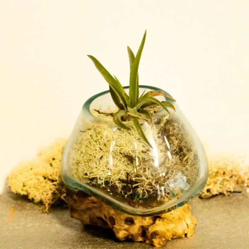 Vas Artistic din Sticla Topita pe Lemn [3]