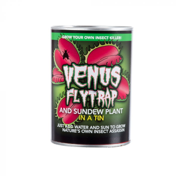 Planta carnivora Venus flytrap [4]