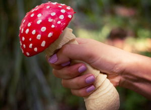 Ciuperca antistres [3]