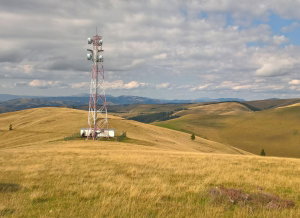 Experienta 4X4 Penteleu Academia Titi Aur [4]