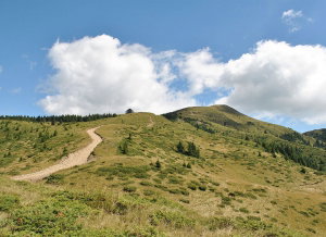 Experienta 4X4 Penteleu Academia Titi Aur [5]