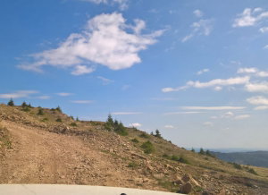 Experienta 4X4 Penteleu Academia Titi Aur [7]