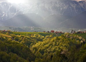 Experiență off-road Cheile Gradiștei Academia Titi Aur [5]