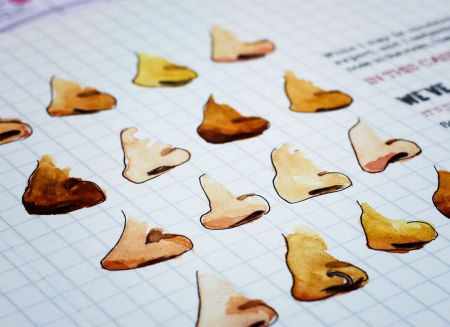 Ghid pentru vinuri [3]