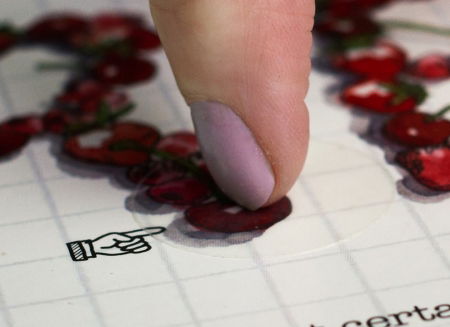 Ghid pentru vinuri [4]