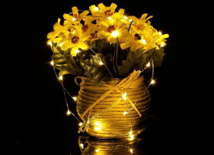 Instalatie de lumini cu 10 leduri [4]