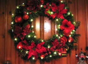 Instalatie de lumini cu 50 leduri [7]