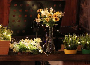 Instalatie de lumini cu 50 leduri [8]