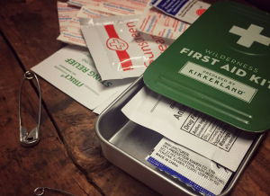 Kit Primul Ajutor Wilderness [1]