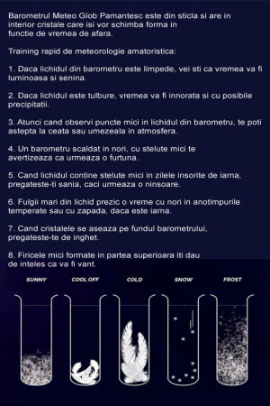 Barometru Meteo Glob Pamantesc [7]
