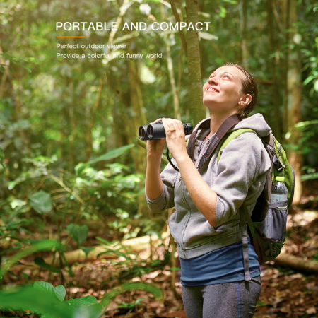 Binoclu Apeman BC100 10X42 HD, Geanta transport [2]