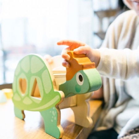 Broasca testoasa didactica jucarie din lemn educativa, 6 piese [0]