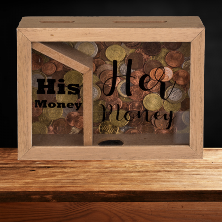 Caseta amuzanta de economii pentru El si Ea [3]