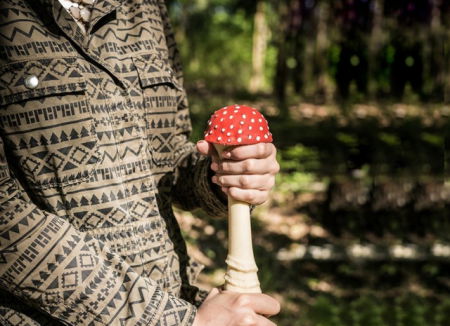 Ciuperca antistres [2]