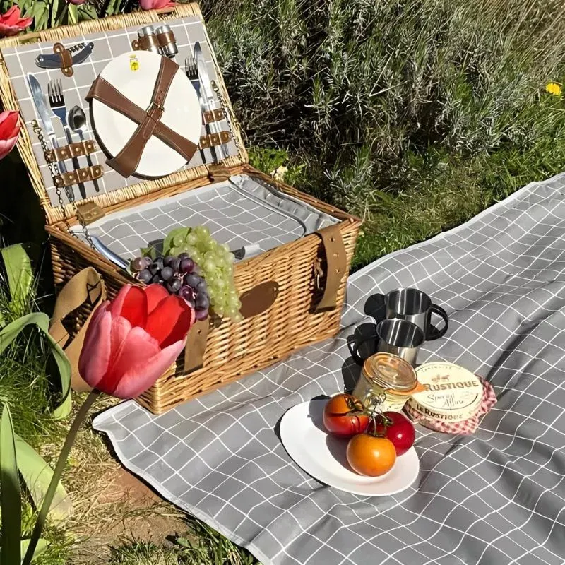 Cos picnic 2 persoane Concorde [1]