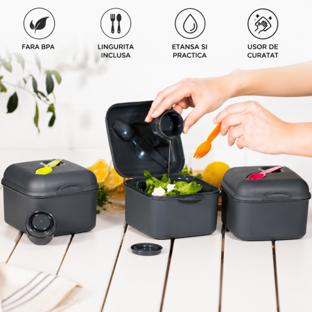 Cutie pentru Pranz To Go cu Recipient pentru Dressing [2]