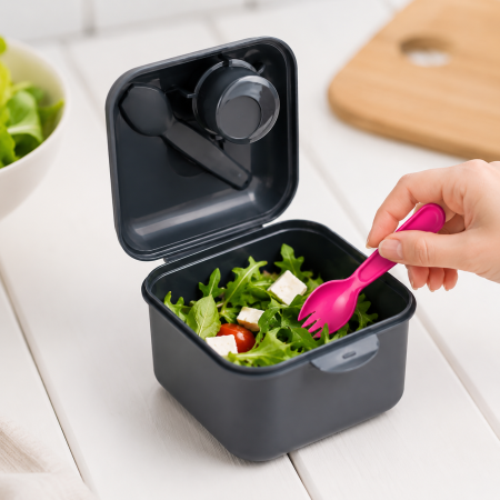 Cutie pentru Pranz To Go cu Recipient pentru Dressing [1]