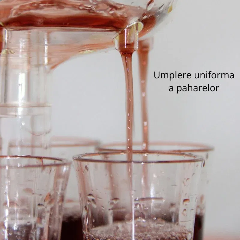 Dispenser bauturi cu 6 shoturi [15]