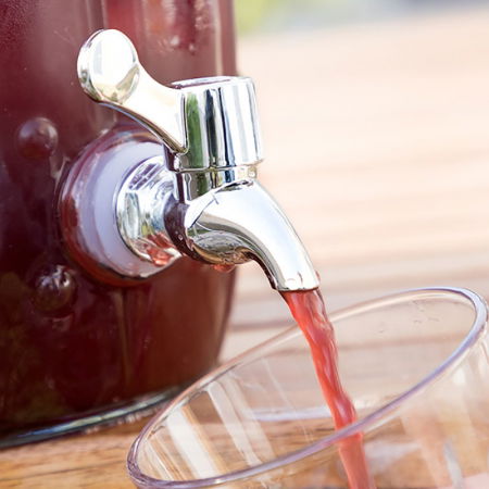 Dispenser Cactus Suculent bauturi racoritoare [2]