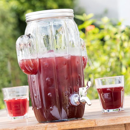 Dispenser Cactus Suculent bauturi racoritoare [1]