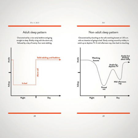 Ghid de viata ilustrat How to adult [3]