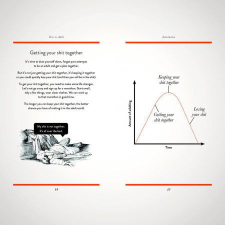 Ghid de viata ilustrat How to adult [5]