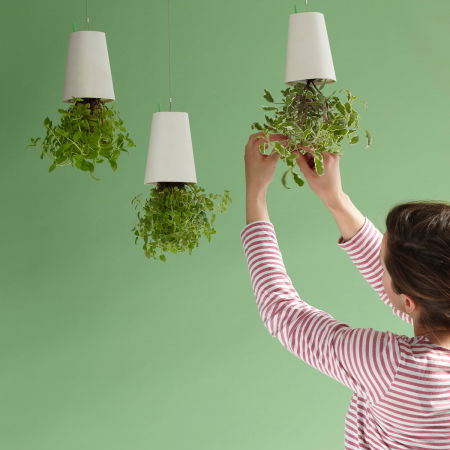 Ghiveci cu susul in jos [0]