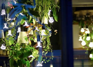 Ghiveci cu susul in jos [4]