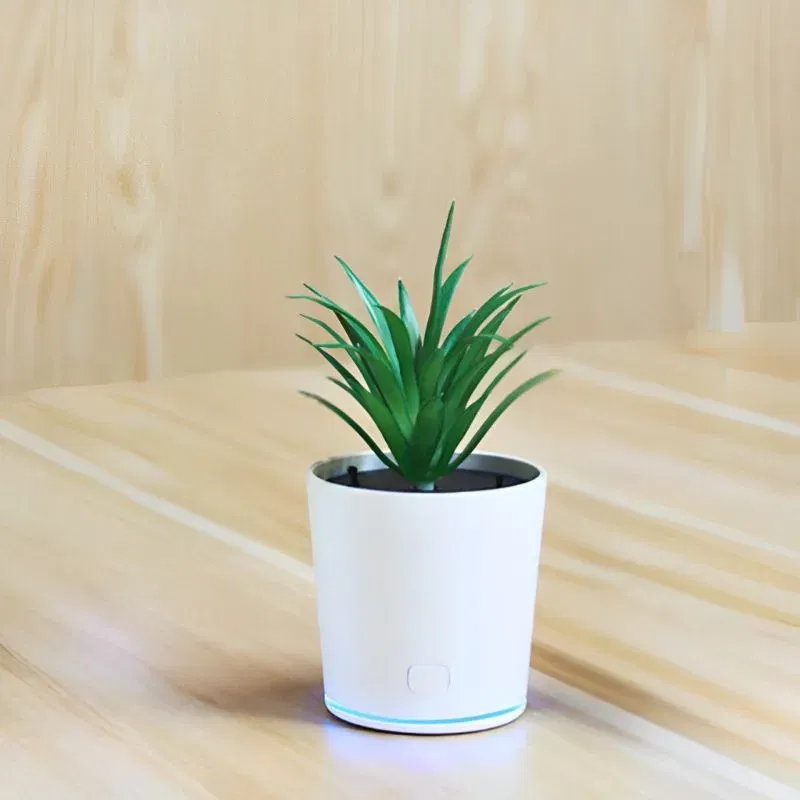 Cadouri pentru Iubita - Ghiveci purificator de aer cu USB
