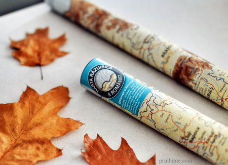 Harta Razuibila a Romaniei [11]