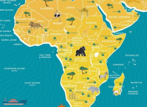 Harta Razuibila Wild - Originala Luckies [4]