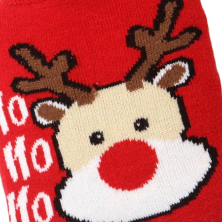 Incalzitor cu apa calda Rudolf - Capacitate 1L [5]