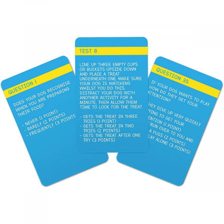 IQ Test pentru caini [2]