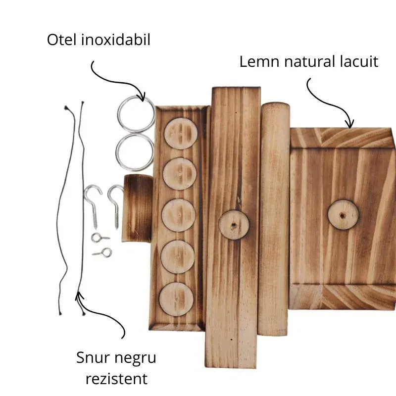 Joc amuzant Duel cu inele si shoturi [3]