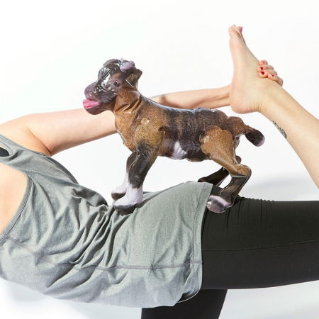 Jocul petrecerii YOGA Goat [5]