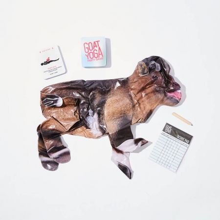 Jocul petrecerii YOGA Goat [7]
