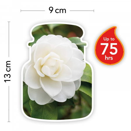 LUMANARE PARFUMATA YANKEE CAMELLIA BLOSSOM BORCAN MEDIU [2]
