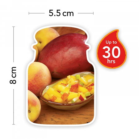 LUMANARE PARFUMATA YANKEE MANGO PEACH SALSA BORCAN MIC [2]