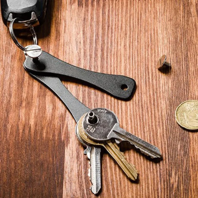 Organizator de Chei Negru [1]