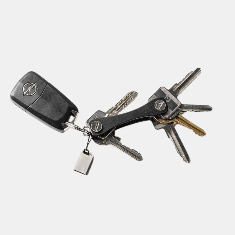 Organizator de Chei Negru [3]