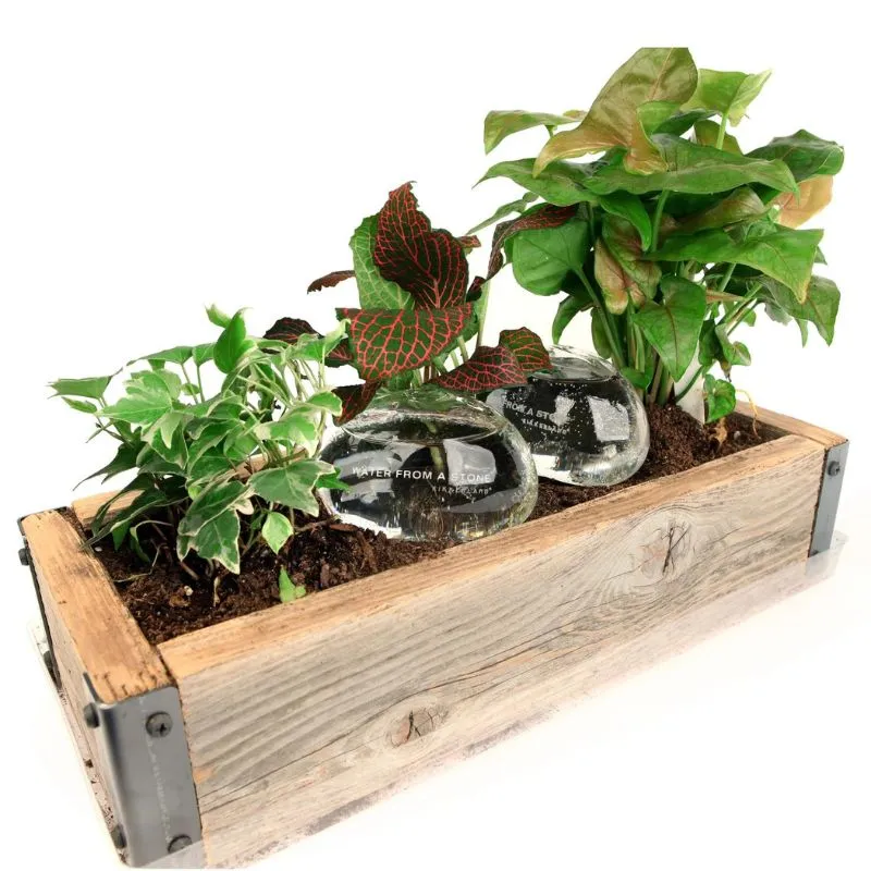 Pietre Picuratoare H2O [8]