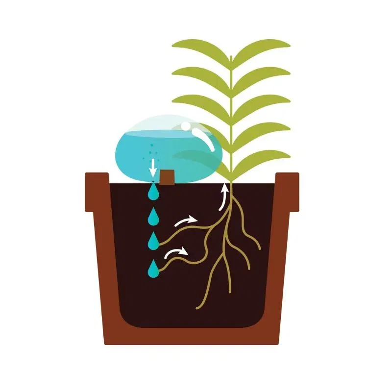 Pietre Picuratoare H2O [9]