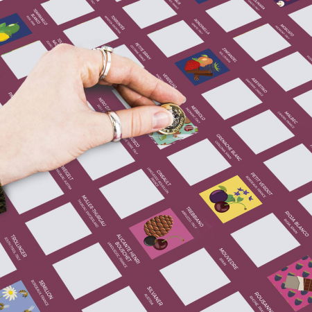 Poster razuibil Expert in Vinuri, 100 provocari [1]