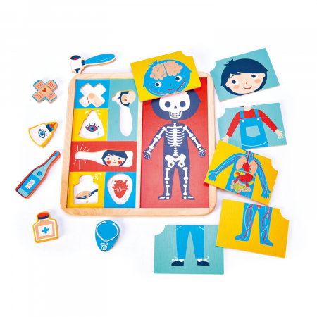 Puzzle educativ din lemn, Corpul uman [4]