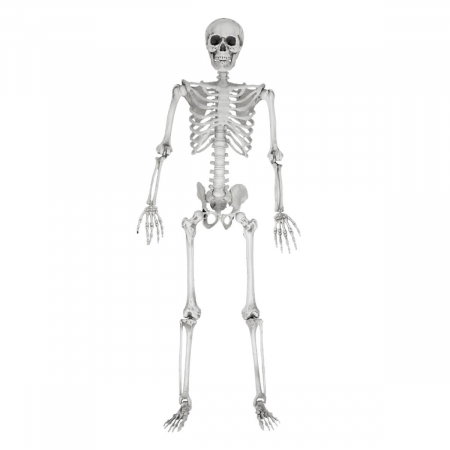 Schelet uman decorativ Trage-spaima, marime naturala, 170 cm [9]